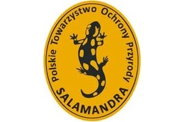 PTOP Salamandra